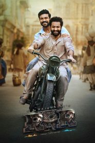 RRR (2022) [Hindi + Telugu-ESub ] Full HD Download & Online Watch – 69movies