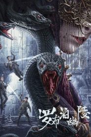 Lop Nor Tomb (2025) Dual Audio [Hindi-Chinese] Amazn WEB-DL 1080p 720p 480p Download & Watch Esub- 69movies.xyz