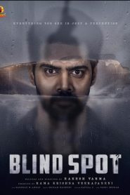 Blind Spot (2025) Dual Audio [Hindi-Tamil] AMZN WEB-DL H264 AAC 1080p 720p 480p ESub- 69movies