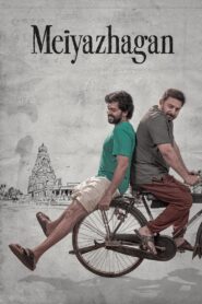 Meiyazhagan (2024) [Hindi + Tamil] Full HD -69Movies