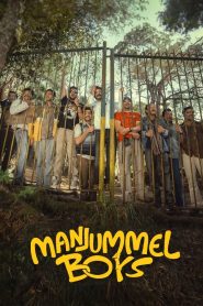Manjummel Boys (2024) Dual Audio Hindi ORG DSNP WEB-DL H264 AAC 2160p 1080p 720p 480p ESub- 69movies.xyz
