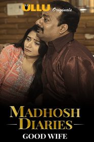 Madhosh Diaries: Season 1