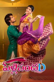 Pelli SandaD (2021) Dual Audio [Hindi ORG-Telugu] WEB-DL H264 AAC 1080p 720p 480p ESub-69movies.xyz