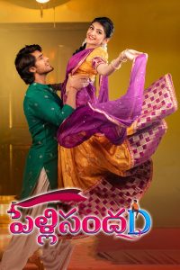 Pelli SandaD (2021) Dual Audio [Hindi ORG-Telugu] WEB-DL H264 AAC 1080p 720p 480p ESub-69movies.xyz