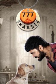 777 Charlie (2022) [Hindi-Kannad] WebRip Hindi 1080p 720p 480p ESub – 69movies.xyz