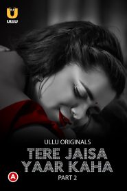 Tere Jaisa Yaar Kaha: Season 1