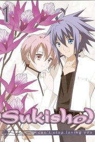 Sukisho!