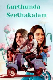 Gurtundha Seetakalam Dual Audio [Hindi ORG-Telugu] WEB-DL H264 AAC 1080p 720p 480p ESub- 69movies.xyz