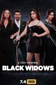 (18+) Black Widows (2020) Hindi S01 Complete WebRip 1080p 720p 480p  ESub – 69movies.xyz