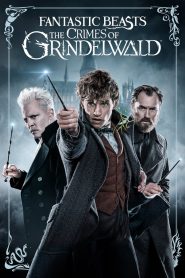 Fantastic Beasts: The Crimes of Grindelwald (2018) WEB-DL H264 AAC 4K 1080p 720p ESub- 69movies.xyz