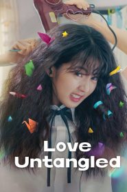 Love Untangled (2025) Dual Audio [Hindi-English-Korean ] BluRay H264 AAC 1080p 720p 480p ESub- 69movies.xyz