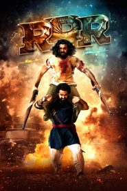 RRR (2022) [Hindi-Telugu] ORG NF WEB-DL H264 AAC 1080p 720p 480p ESub- 69movies.xyz