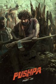Pushpa: The Rise – Part 1 (2021) [Hindi-Telugu] AMZN WEB-DL H264 AAC 1080p 720p 480p ESub-69movies.xyz