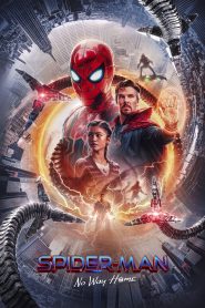 Spider-Man: No Way Home (2021) Dual Audio [Hindi-English] BluRay Extended H264 AAC 1080p 720p 480p ESub- 69movies.xyz