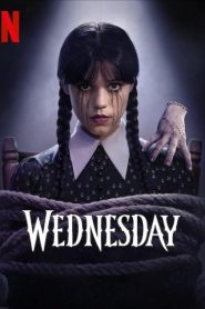 Wednesday (2022) S01 Complete Dual Audio [Hindi ORG-English] NF WEB-DL H264 AAC 1080p 720p 480p ESub- 69movies.xyz