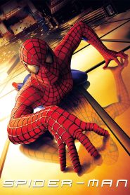 Spider-Man (2002) Dual Audio [Hindi-English] BluRay H264 AAC 1080p 720p 480p ESub- 69movies.xyz