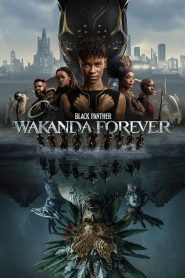 Black Panther: Wakanda Forever (2022) Dual Audio [Hindi-English] BluRay H264 AAC 1080p 720p 480p ESub- 69movies.xyz