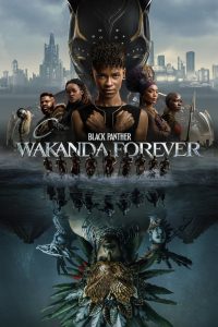 Black Panther: Wakanda Forever (2022) Dual Audio [Hindi-English] BluRay H264 AAC 1080p 720p 480p ESub- 69movies.xyz