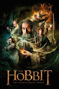 The Hobbit: The Desolation of Smaug (2013) Dual Audio [Hindi-English] WEB-DL 1080p 720p 480p Download & Watch Esub- 69movies.xyz
